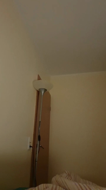 Divan32  25-11-2021 Recorded Video Webcam